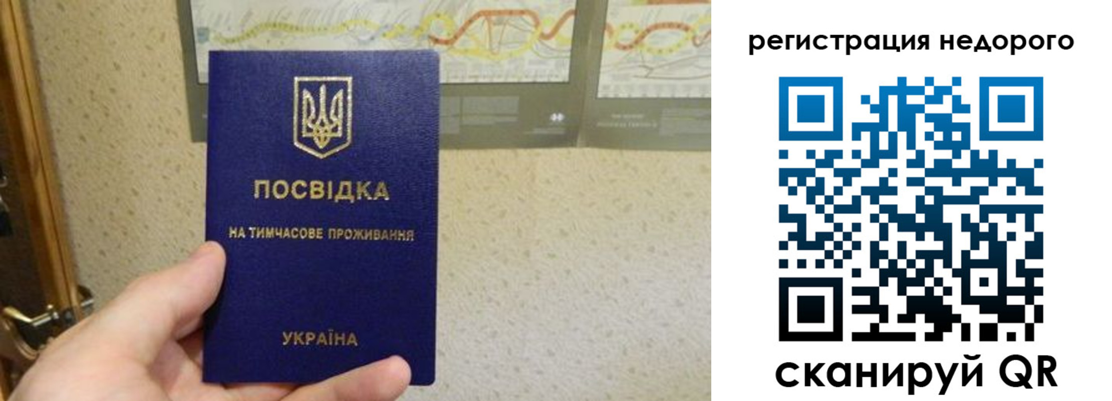 прописка для работы в Светлогорске